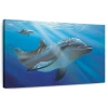 Ebern Designs Brampt Evening Dive In Blue