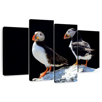 Ebern Designs Brampt Farne Islands Puffin Birds In White