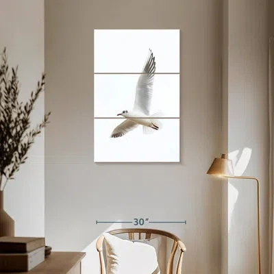 Ebern Designs Brampt Flying Kittiwake Gull