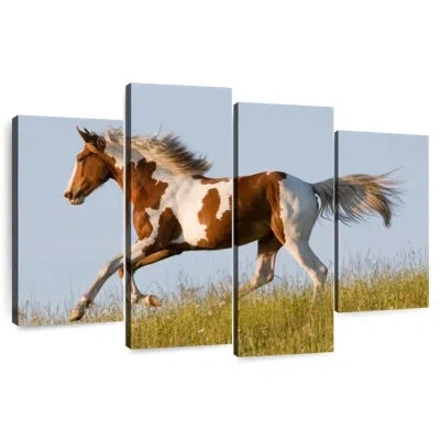 Ebern Designs Brampt Free Appaloosa Horse