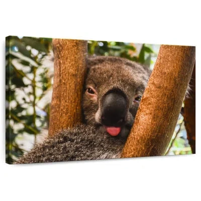 Ebern Designs Brampt Funny Koala In Brown