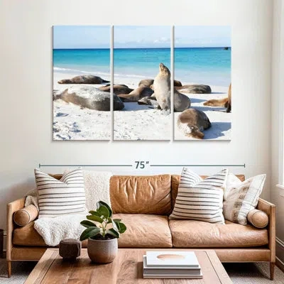 Ebern Designs Brampt Galapagos Sea Lion Colony In Beige