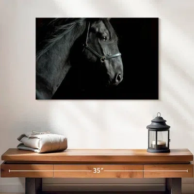 Ebern Designs Brampt Horse Head In Black