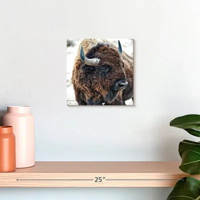 Ebern Designs Brampt In The Presence Of Bison In Black