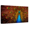 Ebern Designs Brampt Indian Peacock