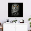 Ebern Designs Brampt Intense Eagle Owl In Orange