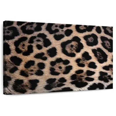 Ebern Designs Brampt Jaguar Fur In Black