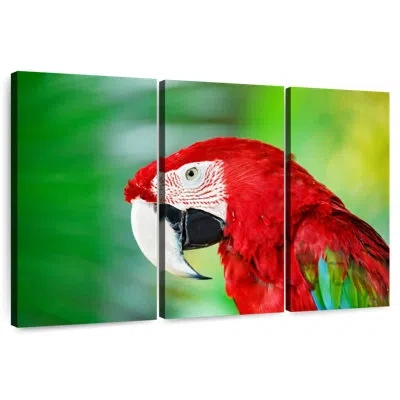 Ebern Designs Brampt Jungle Scarlet Macaw In Brown