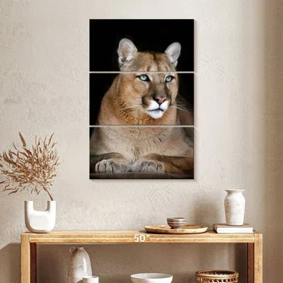 Ebern Designs Brampt Majestic Wild Cat In Black