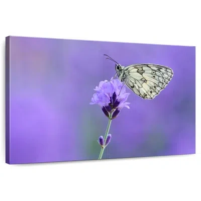 Ebern Designs Brampt Marbled White Butterfly In Purple