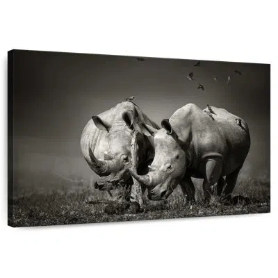 Ebern Designs Brampt Monochrome Rhinoceroses In Gray