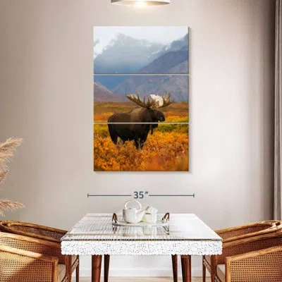 Ebern Designs Brampt Moose In Pasture In Blue