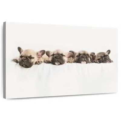 Ebern Designs Brampt Napping French Bulldogs