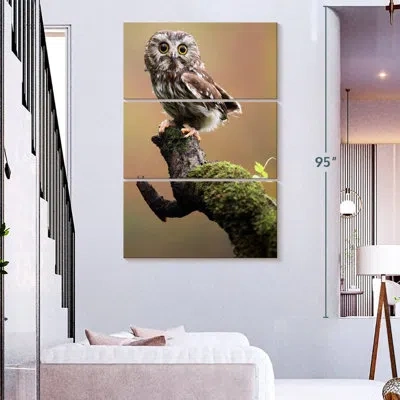 Ebern Designs Brampt Northern Saw Whet Owl