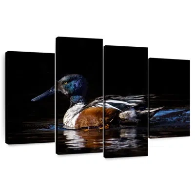 Ebern Designs Brampt Northern Shoveler Duck