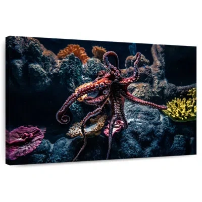 Ebern Designs Brampt Octopus Habitat In Black