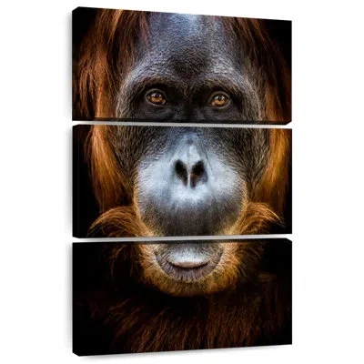 Ebern Designs Brampt Orangutan Face