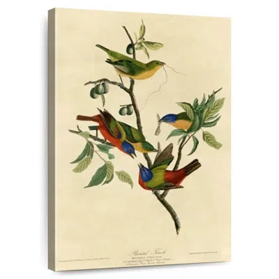 Ebern Designs Brampt Painted Finch In Red