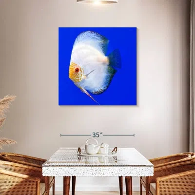 Ebern Designs Brampt Pompadour Discus Fish In Purple