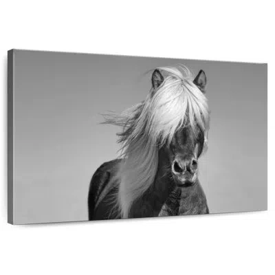 Ebern Designs Brampt Pony In Gray