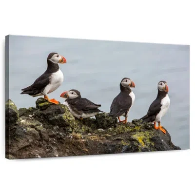 Ebern Designs Brampt Puffins On A Rock In Brown