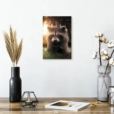 Ebern Designs Brampt Raccoon Butterfly In Brown