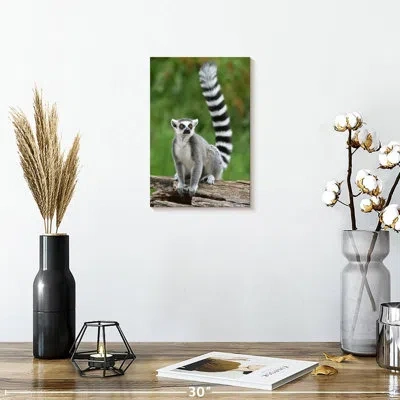 Ebern Designs Brampt Ring Tailed Lemur On A Log In Gray