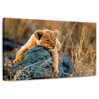 Ebern Designs Brampt Safari Lion Cub In Brown