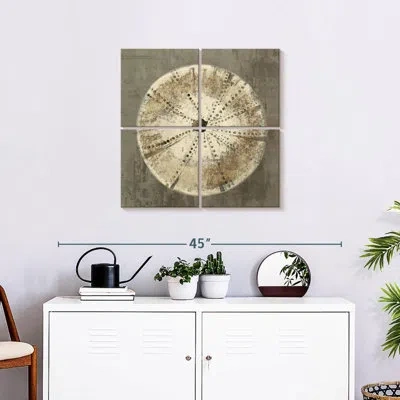 Ebern Designs Brampt Sand Dollar I In Beige