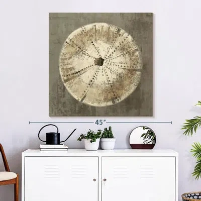 Ebern Designs Brampt Sand Dollar I In Beige