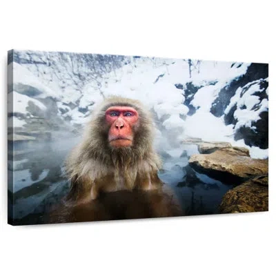 Ebern Designs Brampt Serious Japanese Snow Monkey