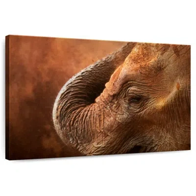 Ebern Designs Brampt Sleeping Mammoth In Brown
