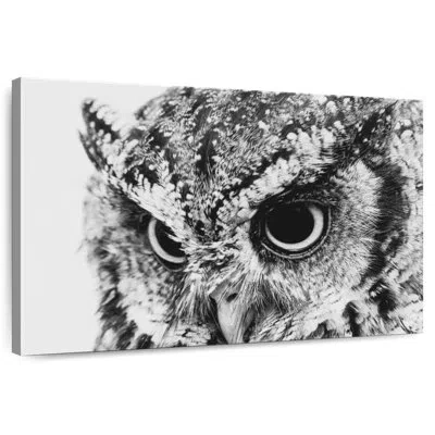 Ebern Designs Brampt Staring Owl In Gray