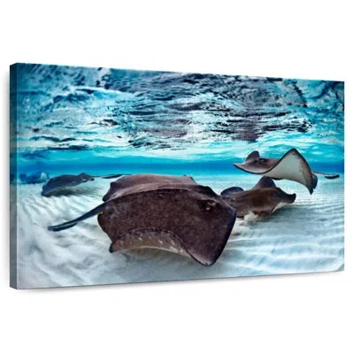 Ebern Designs Brampt Stingrays Sea Life In Brown