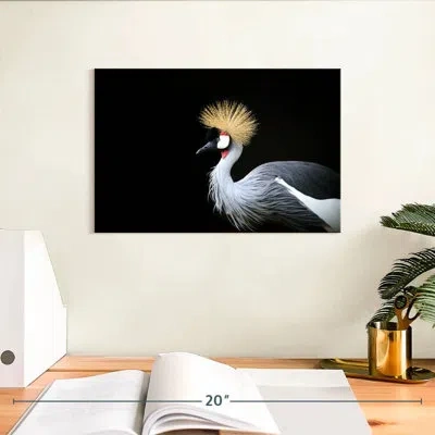 Ebern Designs Brampt Stunning Grey Crowned Crane In Black