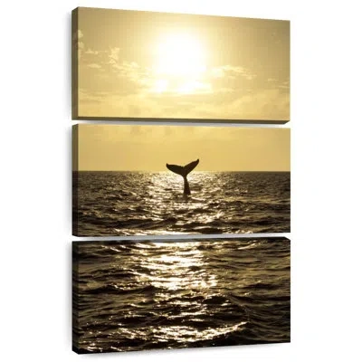 Ebern Designs Brampt Sunset Humpback Whale In Beige