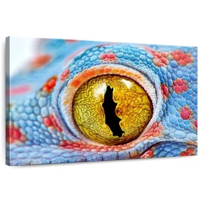 Ebern Designs Brampt Tokay Gecko Eye In Orange