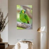 Ebern Designs Brampt Turquoise-fronted Amazon Bird