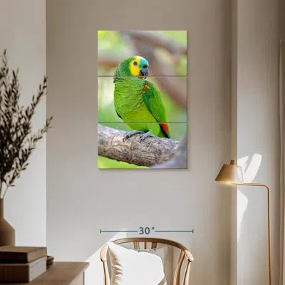 Ebern Designs Brampt Turquoise-fronted Amazon Bird
