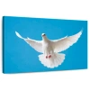 Ebern Designs Brampt White Dove Flying