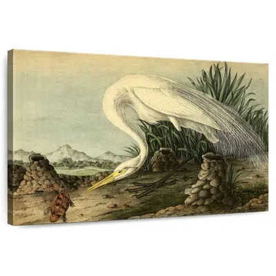 Ebern Designs Brampt White Heron From Birds Of America