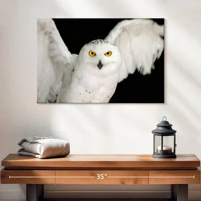 Ebern Designs Brampt White Owl