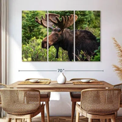 Ebern Designs Brampt Wild Bull Moose In Green