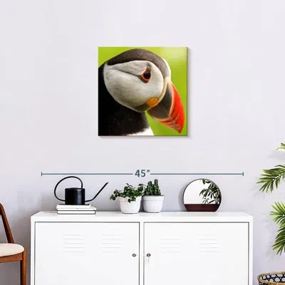 Ebern Designs Brampt Wild Puffin In Green