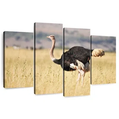 Ebern Designs Brampt Wildlife Ostrich