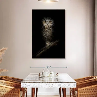 Ebern Designs Brampt Wise Night Owl In Black
