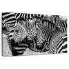 Ebern Designs Brampt Zebra Faces In Black