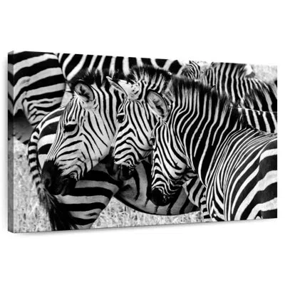 Ebern Designs Brampt Zebra Faces In Black