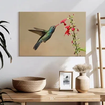 Ebern Designs Broad-billed Hummingbird Drinking Nectar In Beige