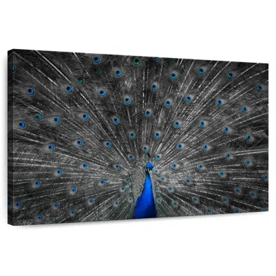Ebern Designs Crowle Blue Peacock Feather